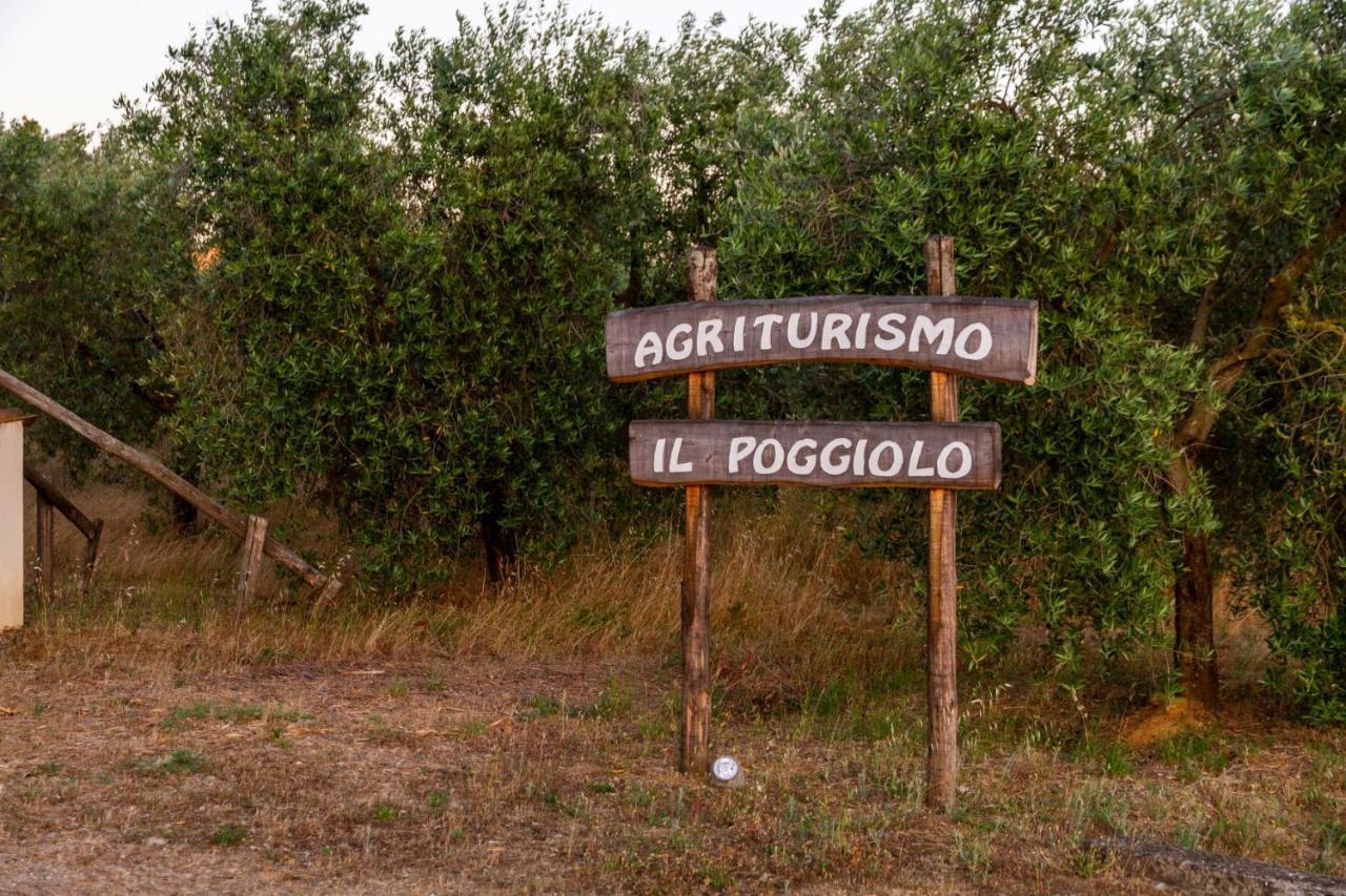 Agriturismo Il Poggiolo Villa Grosseto Eksteriør bilde